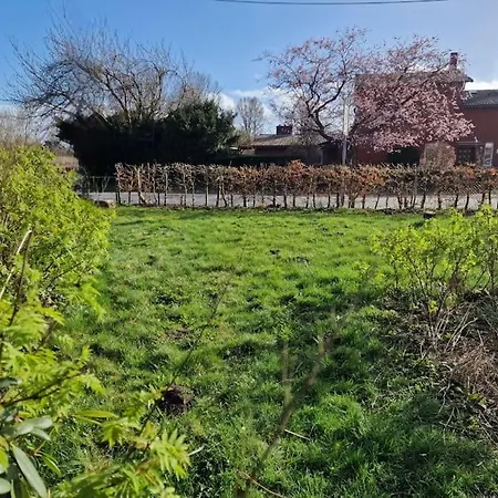 Klanggarten - Yoga, Wald, Stadtrand