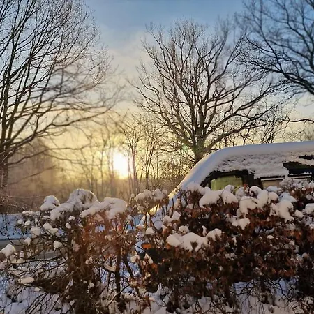 Klanggarten - Yoga, Wald, Stadtrand Lübeck