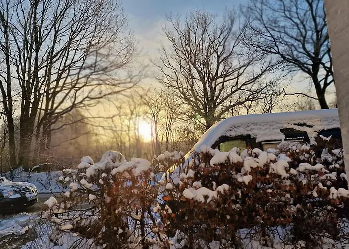 Klanggarten - Yoga, Wald, Stadtrand 吕贝克